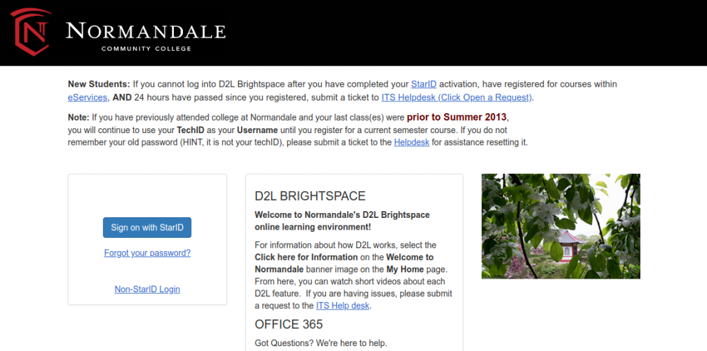 D2L Brightspace Logo